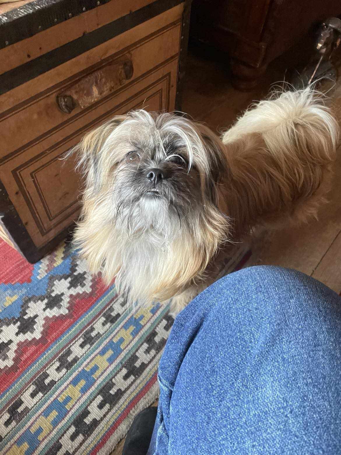 Otis